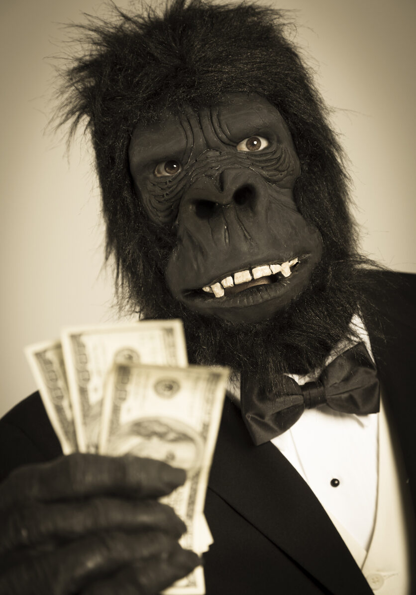 A gorilla in a tuxedo holding hundred dollar bills. Old fashioned sepia tone processing applied to image.